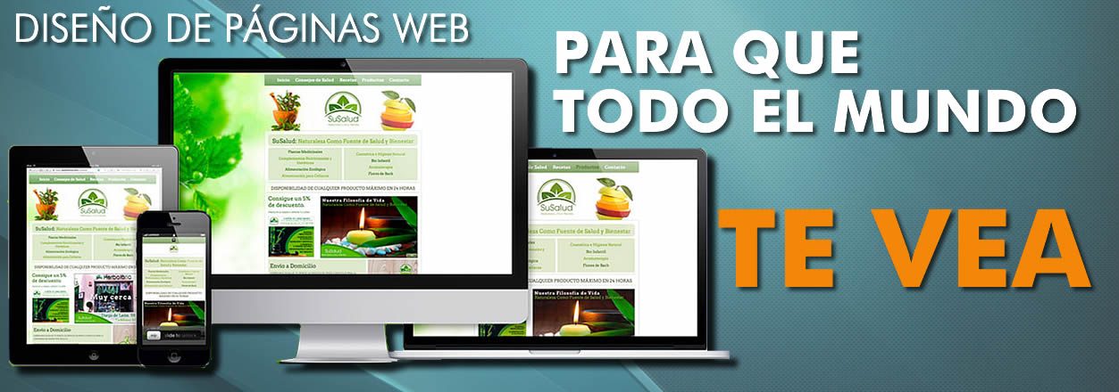 diseño de paginas web